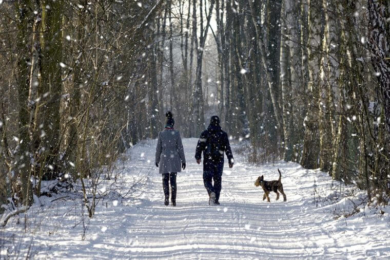پیاده روی در زمستان