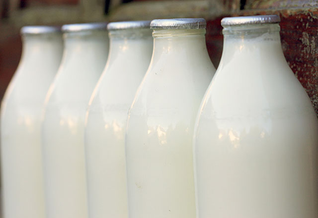 4 فایده شیر و محصولات لبنی