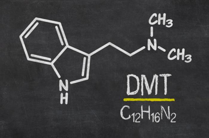 حقایق علمی ناگفته درباره ی DMT 