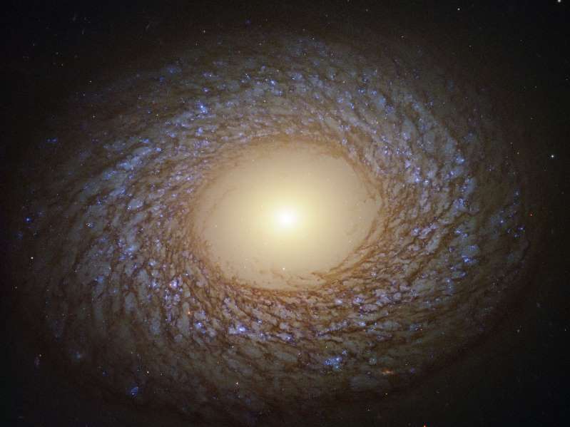 کهکشان کرکی